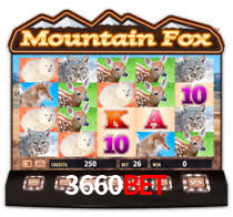 Tournaments 3660bet